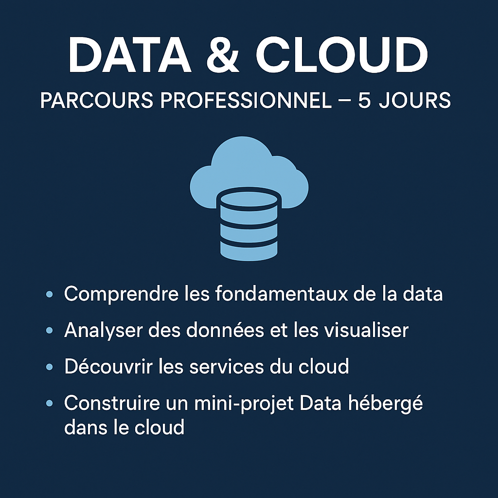 Data & Cloud – Parcours Professionnel